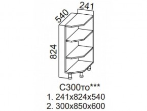 С300то Стол-рабочий 300 (торцевой открытый) в Первоуральске - pervouralsk.magazin-mebel74.ru | фото