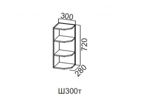 Ш300т/720 Шкаф навесной 300/720 (торцевой) в Первоуральске - pervouralsk.magazin-mebel74.ru | фото