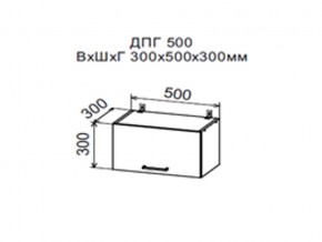 Шкаф верхний ДПГ500 горизонтальный в Первоуральске - pervouralsk.magazin-mebel74.ru | фото
