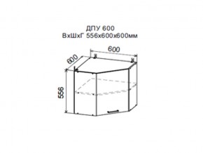 Шкаф верхний ДПУ600 угловой в Первоуральске - pervouralsk.magazin-mebel74.ru | фото